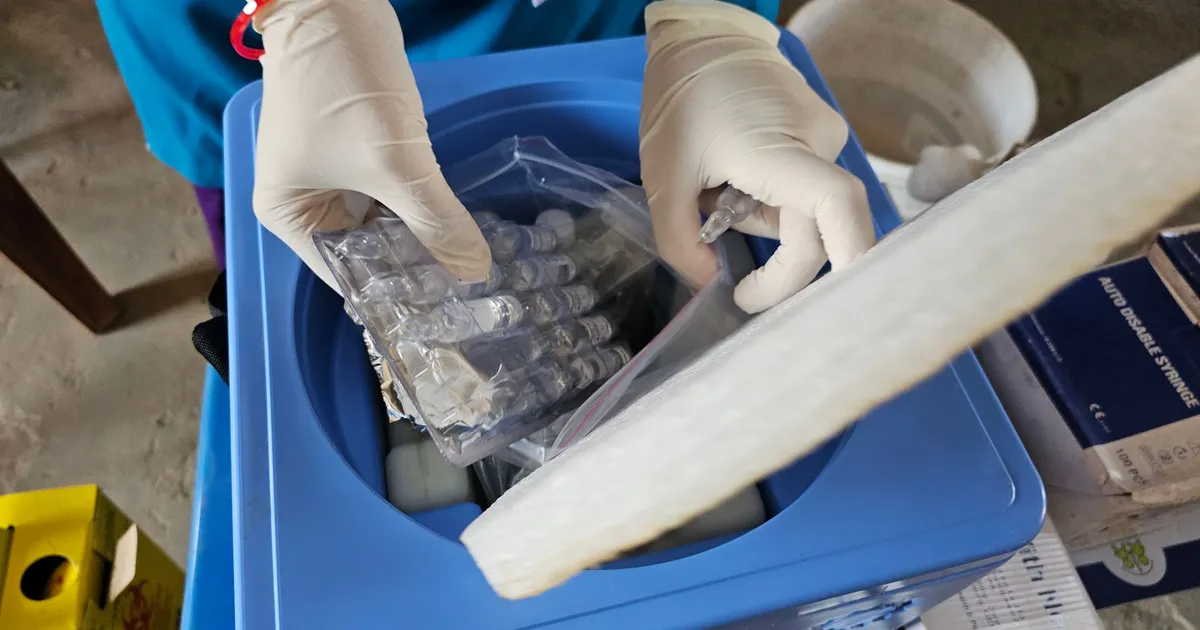 A gloved healthcare worker handling medical vials in a laboratory