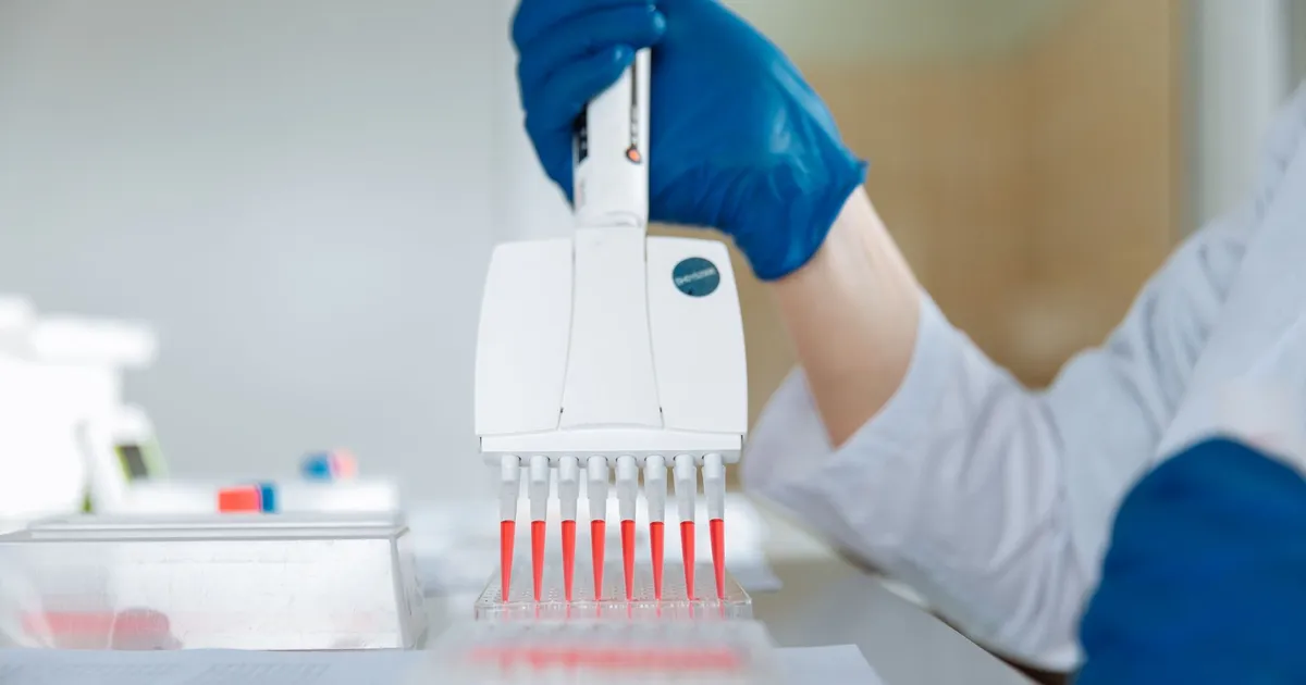 A laboratory technician using a multichannel pipette