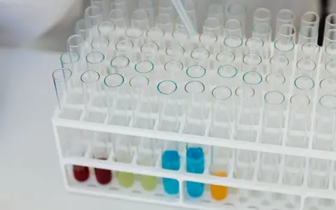 Close-up of a laboratory test tube rack with colorful chemical solutions, emphasizing scientific research