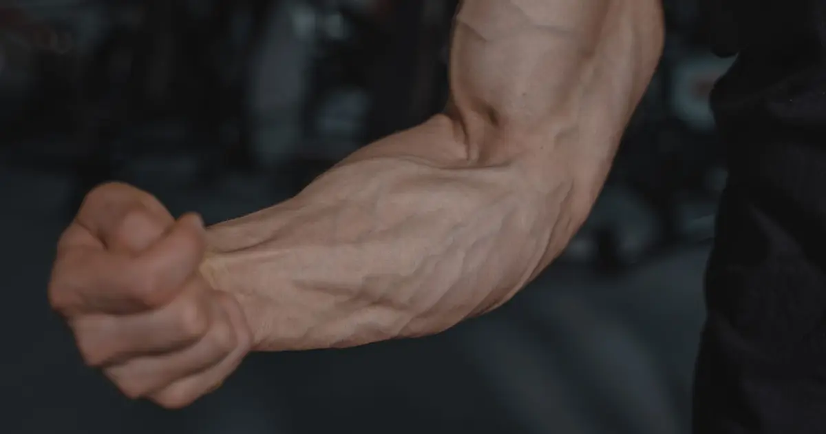 Detailed image of a flexed arm showing prominent veins and muscular definition
