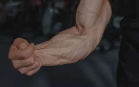 Detailed image of a flexed arm showing prominent veins and muscular definition