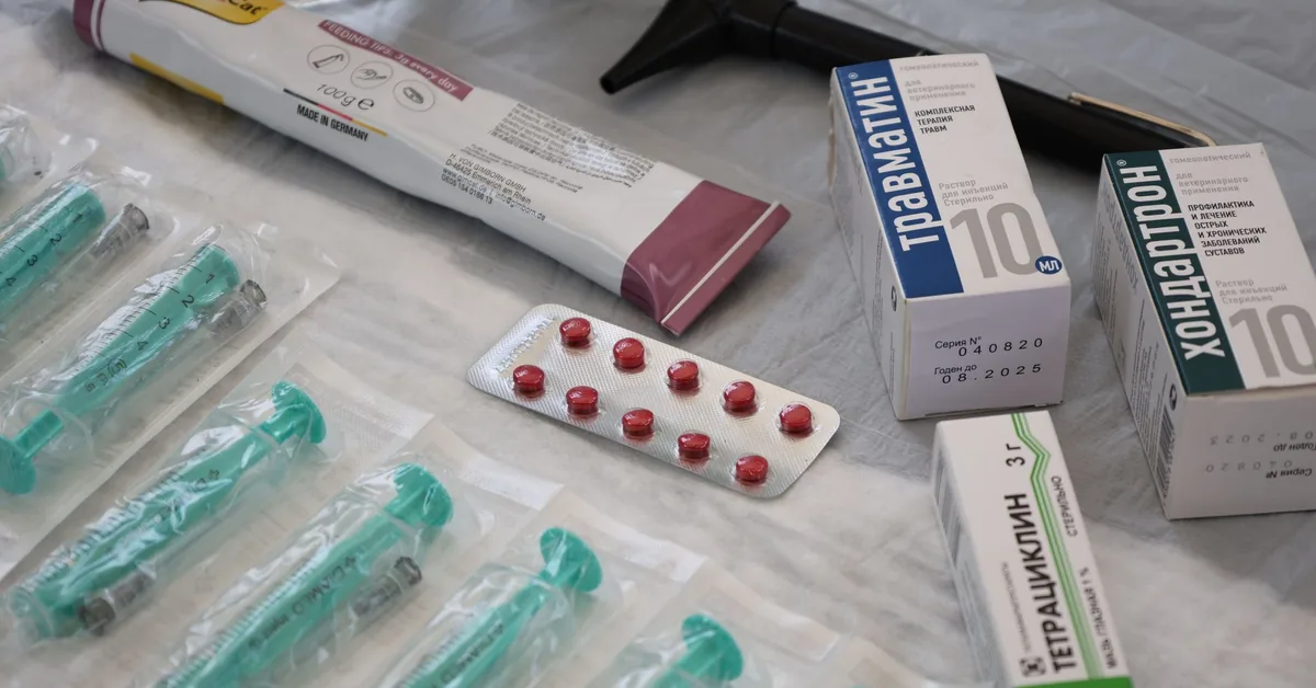 Shelves of medication boxes behind a pharmacy counter