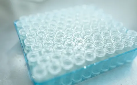Rows of empty clear glass vials in a blue laboratory tray